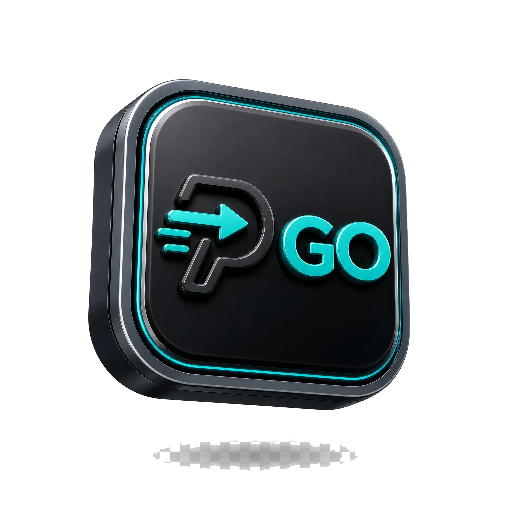 PayGo Hub logo